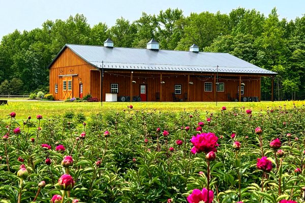 Sunset Flower Farm